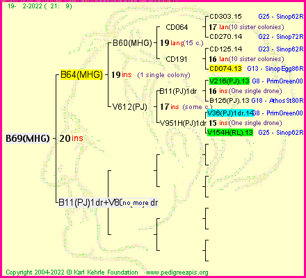 Pedigree of B69(MHG) :
four generations presented
it's temporarily unavailable, sorry!