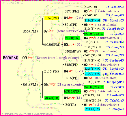 Pedigree of B69(PM) :
four generations presented