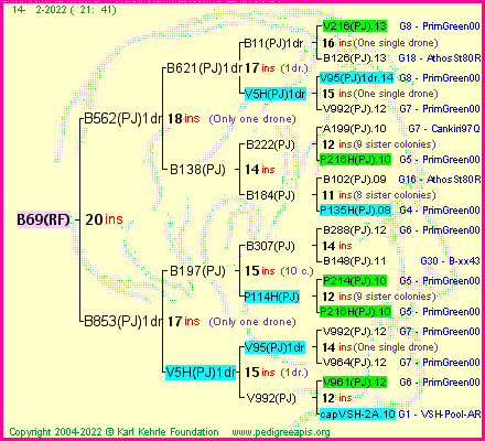 Pedigree of B69(RF) :
four generations presented
it's temporarily unavailable, sorry!