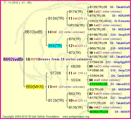 Pedigree of B692(vdB) :
four generations presented<br />it's temporarily unavailable, sorry!