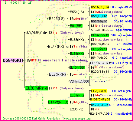 Pedigree of B694(GKT) :
four generations presented
it's temporarily unavailable, sorry!