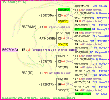 Pedigree of B697(MA) :
four generations presented
it's temporarily unavailable, sorry!