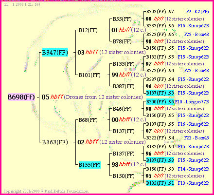 Pedigree of B698(FF) :
four generations presented