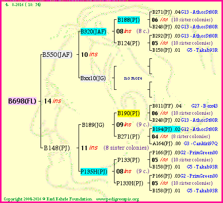 Pedigree of B698(FL) :
four generations presented<br />it's temporarily unavailable, sorry!