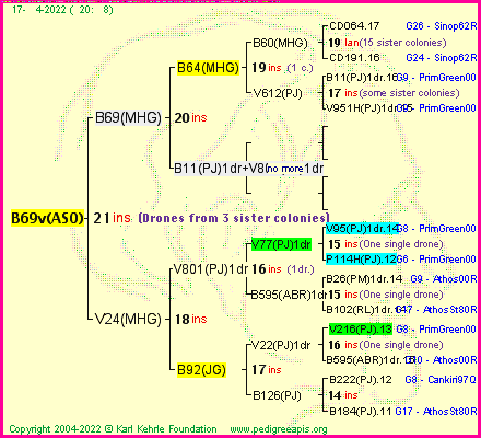 Pedigree of B69v(ASO) :
four generations presented
it's temporarily unavailable, sorry!