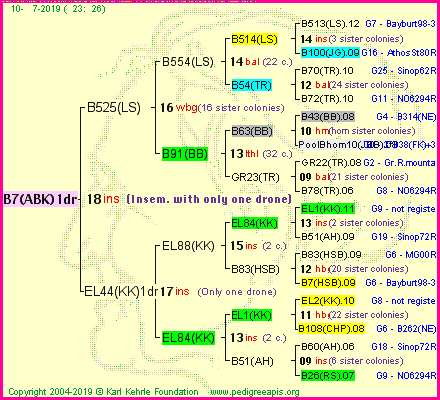 Pedigree of B7(ABK)1dr :
four generations presented
it's temporarily unavailable, sorry!