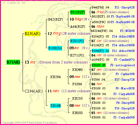 Pedigree of B7(AR) :
four generations presented