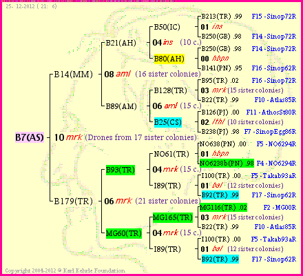 Pedigree of B7(AS) :
four generations presented