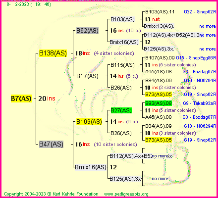 Pedigree of B7(AS) :
four generations presented
it's temporarily unavailable, sorry!