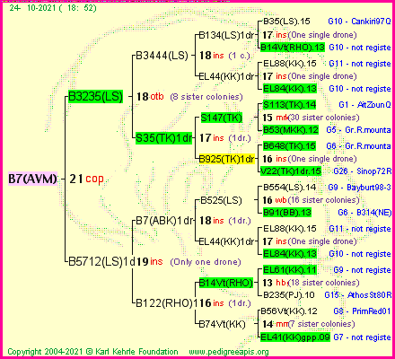 Pedigree of B7(AVM) :
four generations presented
it's temporarily unavailable, sorry!