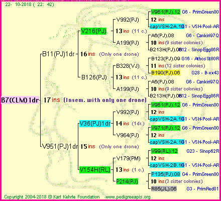 Pedigree of B7(CLM)1dr :
four generations presented<br />it's temporarily unavailable, sorry!