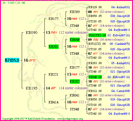 Pedigree of B7(DSJ) :
four generations presented
it's temporarily unavailable, sorry!