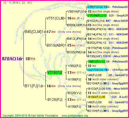 Pedigree of B7(IAC)1dr :
four generations presented<br />it's temporarily unavailable, sorry!