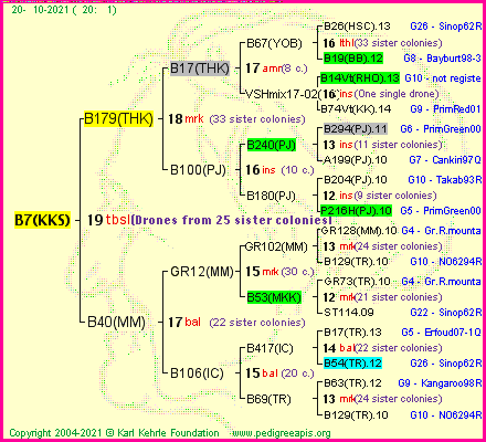 Pedigree of B7(KKS) :
four generations presented
it's temporarily unavailable, sorry!