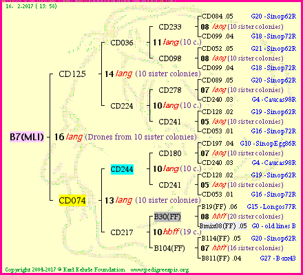 Pedigree of B7(MLI) :
four generations presented<br />it's temporarily unavailable, sorry!