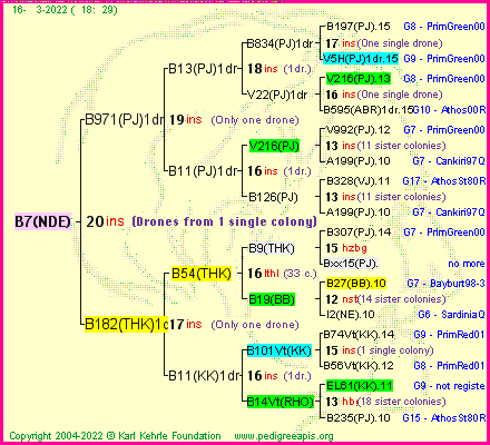 Pedigree of B7(NDE) :
four generations presented
it's temporarily unavailable, sorry!