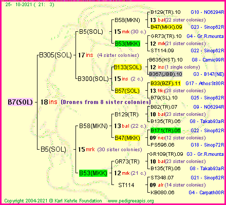 Pedigree of B7(SOL) :
four generations presented
it's temporarily unavailable, sorry!