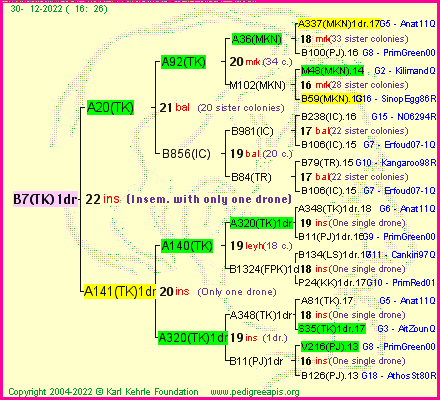 Pedigree of B7(TK)1dr :
four generations presented
it's temporarily unavailable, sorry!