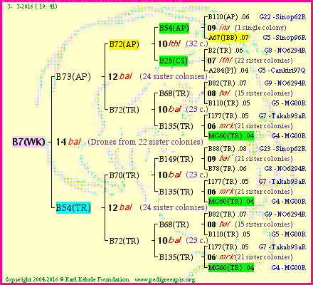 Pedigree of B7(WK) :
four generations presented