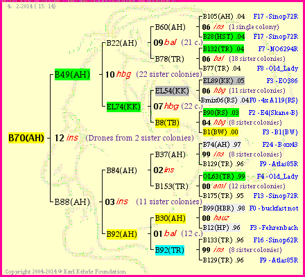 Pedigree of B70(AH) :
four generations presented