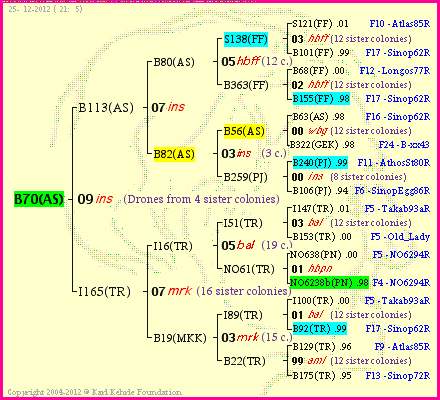 Pedigree of B70(AS) :
four generations presented