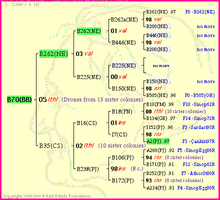 Pedigree of B70(BB) :
four generations presented