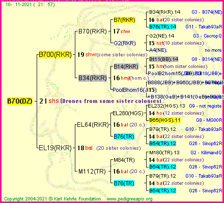 Pedigree of B70(DZ) :
four generations presented
it's temporarily unavailable, sorry!