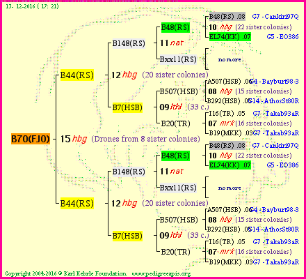 Pedigree of B70(FJO) :
four generations presented<br />it's temporarily unavailable, sorry!