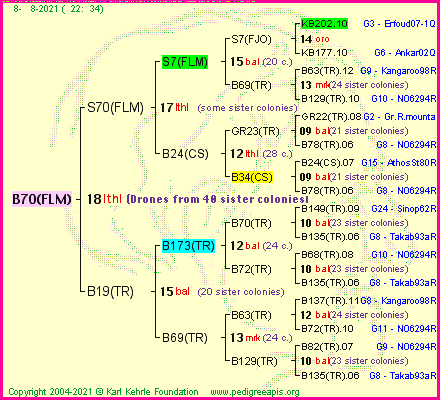 Pedigree of B70(FLM) :
four generations presented
it's temporarily unavailable, sorry!