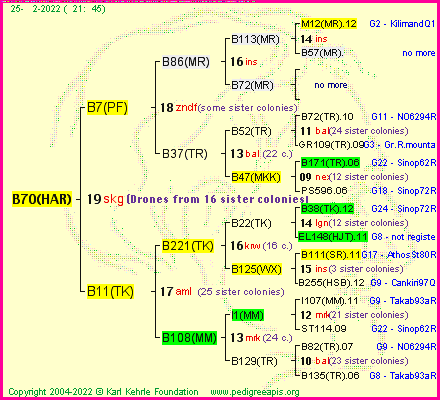 Pedigree of B70(HAR) :
four generations presented
it's temporarily unavailable, sorry!