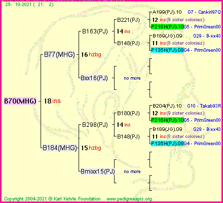 Pedigree of B70(MHG) :
four generations presented
it's temporarily unavailable, sorry!