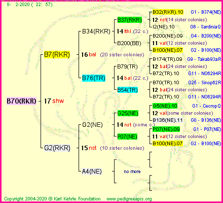 Pedigree of B70(RKR) :
four generations presented<br />it's temporarily unavailable, sorry!