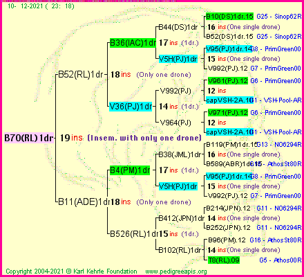 Pedigree of B70(RL)1dr :
four generations presented
it's temporarily unavailable, sorry!