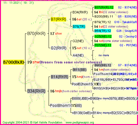 Pedigree of B700(RKR) :
four generations presented
it's temporarily unavailable, sorry!