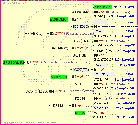 Pedigree of B701(ADK) :
four generations presented