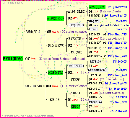 Pedigree of B701(RDV) :
four generations presented