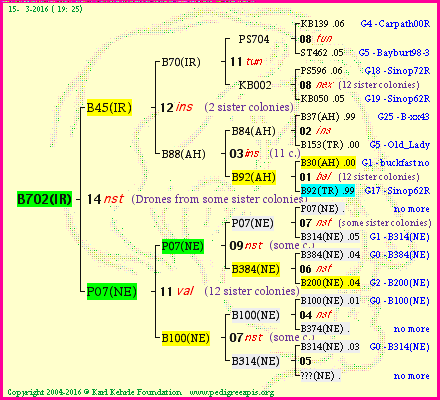 Pedigree of B702(IR) :
four generations presented