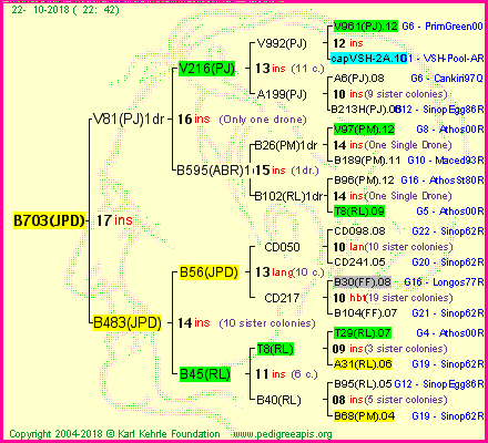 Pedigree of B703(JPD) :
four generations presented<br />it's temporarily unavailable, sorry!