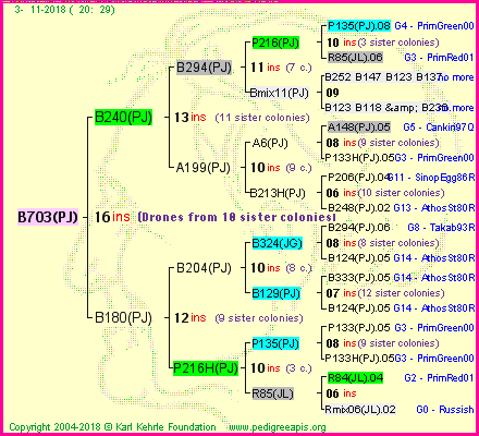 Pedigree of B703(PJ) :
four generations presented<br />it's temporarily unavailable, sorry!