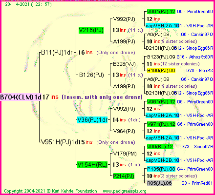 Pedigree of B704(CLM)1dr :
four generations presented
it's temporarily unavailable, sorry!