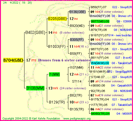 Pedigree of B704(GBE) :
four generations presented
it's temporarily unavailable, sorry!