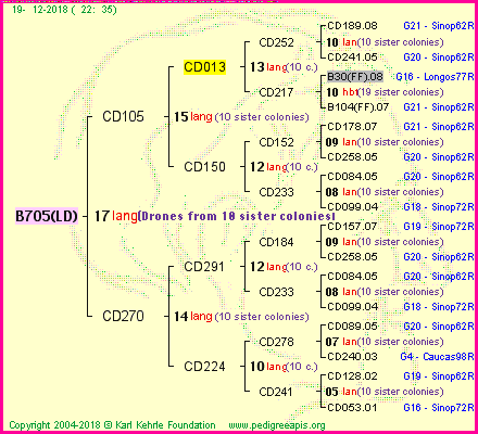 Pedigree of B705(LD) :
four generations presented<br />it's temporarily unavailable, sorry!