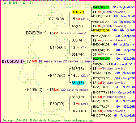 Pedigree of B706(BMH) :
four generations presented
it's temporarily unavailable, sorry!