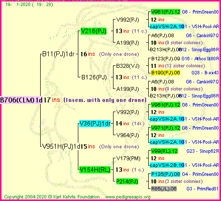 Pedigree of B706(CLM)1dr :
four generations presented<br />it's temporarily unavailable, sorry!