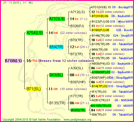 Pedigree of B708(LS) :
four generations presented<br />it's temporarily unavailable, sorry!