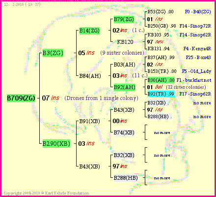 Pedigree of B709(ZG) :
four generations presented