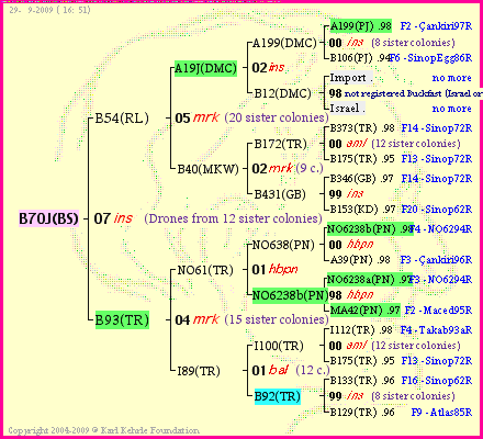 Pedigree of B70J(BS) :
four generations presented