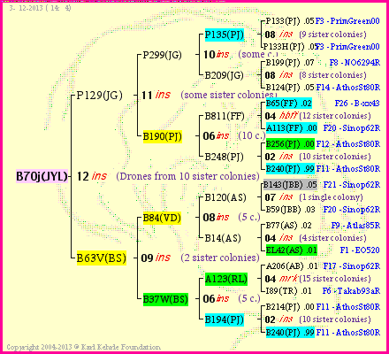 Pedigree of B70j(JYL) :
four generations presented