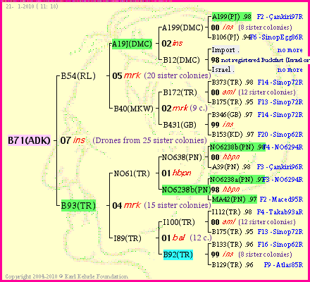 Pedigree of B71(ADK) :
four generations presented