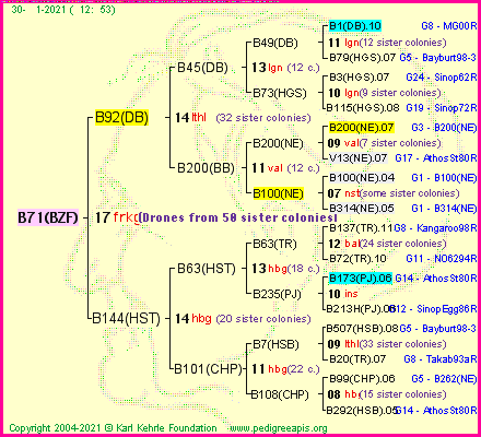 Pedigree of B71(BZF) :
four generations presented
it's temporarily unavailable, sorry!